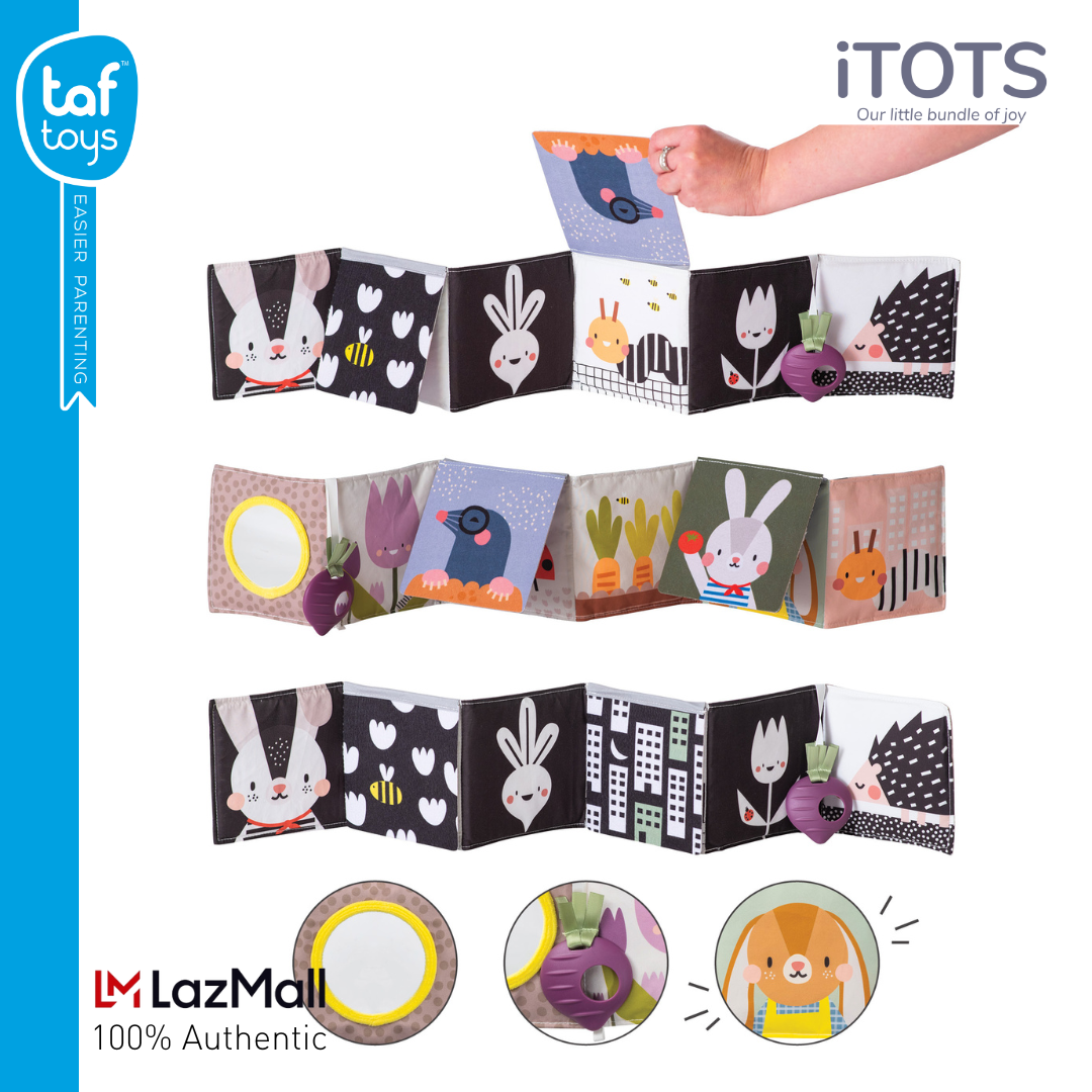 Taf Toys Urban Garden Pram Book